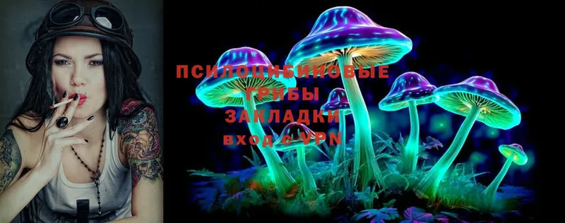 Галлюциногенные грибы Psilocybe  Межгорье 